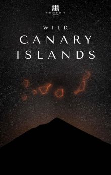 Wild Canary Islands Wild Canary Islands
