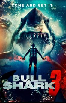 Bull Shark 3 Bull Shark 3
