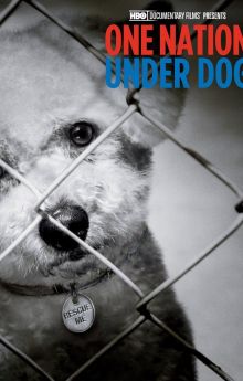 One Nation Under Dog One Nation Under Dog